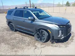 KM8R3DGE6SU945971 2025 HYUNDAI PALISADE