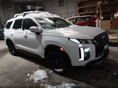 KM8R3DGE7RU726382 2024 HYUNDAI PALISADE