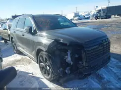 KM8R3DGE7SU846849 2025 HYUNDAI PALISADE