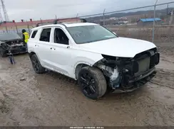 KM8R3DGE8PU490564 2023 HYUNDAI PALISADE
