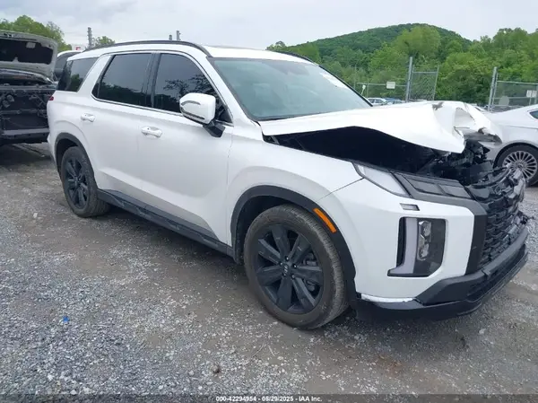 KM8R3DGE8PU533011 2023 HYUNDAI PALISADE - Image 1