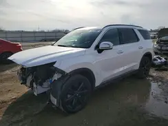 KM8R3DGE8PU541934 2023 HYUNDAI PALISADE