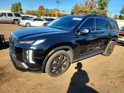 KM8R3DGE8SU833592 2025 HYUNDAI PALISADE