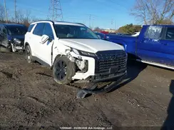 KM8R3DGE8SU925981 2025 HYUNDAI PALISADE