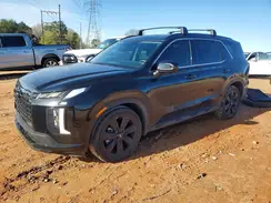 KM8R3DGE8SU943106 2025 HYUNDAI PALISADE
