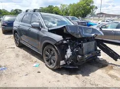 KM8R3DGE8SU945227 2025 HYUNDAI PALISADE