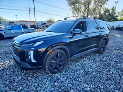 KM8R3DGE9RU732846 2024 HYUNDAI PALISADE