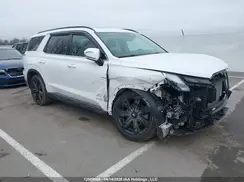 KM8R3DGE9RU792187 2024 HYUNDAI PALISADE