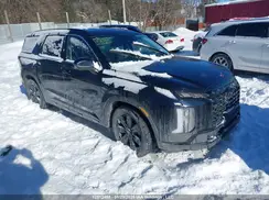 KM8R3DGE9SU853348 2025 HYUNDAI PALISADE
