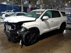 KM8R3DGE9SU907084 2025 HYUNDAI PALISADE