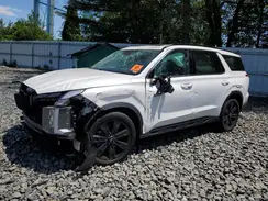 KM8R3DGEXPU549372 2023 HYUNDAI PALISADE