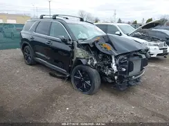 KM8R3DGEXRU689800 2024 HYUNDAI PALISADE