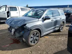 KM8R3DGEXRU801396 2024 HYUNDAI PALISADE