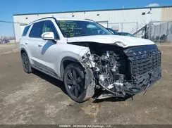 KM8R3DGEXSU916831 2025 HYUNDAI PALISADE