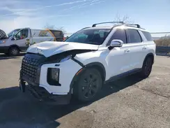 KM8R3DGEXSU921429 2025 HYUNDAI PALISADE