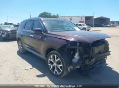 KM8R3DHE0LU164265 2020 HYUNDAI PALISADE