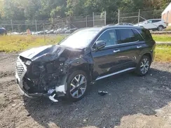 KM8R3DHE2LU134779 2020 HYUNDAI PALISADE
