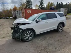 KM8R3DHE2MU283386 2021 HYUNDAI PALISADE