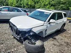 KM8R3DHE5MU265691 2021 HYUNDAI PALISADE