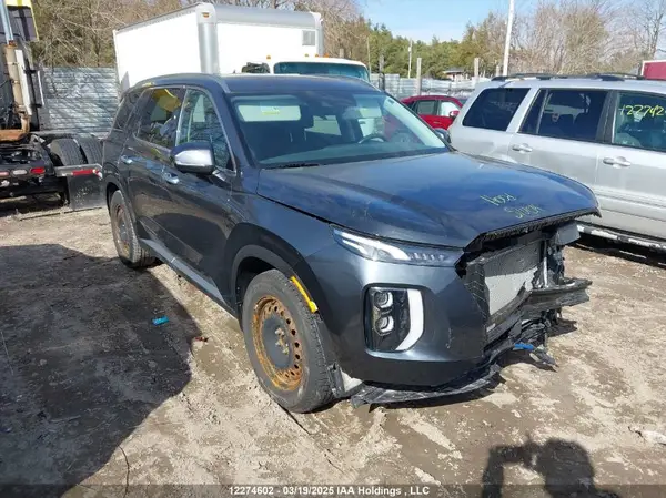 KM8R3DHE7LU060405 2020 HYUNDAI PALISADE - Image 1