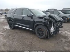 KM8R3DHE8LU029485 2020 HYUNDAI PALISADE