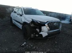 KM8R3DHE8LU058162 2020 HYUNDAI PALISADE