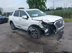 KM8R3DHE8LU151442 2020 HYUNDAI PALISADE