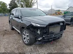 KM8R3DHE8MU205789 2021 HYUNDAI PALISADE
