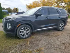KM8R3DHEXLU053528 2020 HYUNDAI PALISADE