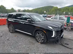KM8R44GE1RU791483 2024 HYUNDAI PALISADE