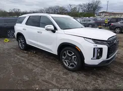 KM8R44GE1SU904578 2025 HYUNDAI PALISADE