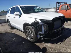 KM8R44GE4SU909239 2025 HYUNDAI PALISADE
