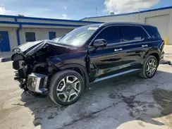 KM8R44GE4SU913842 2025 HYUNDAI PALISADE
