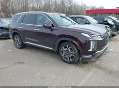 KM8R44GE6RU799126 2024 HYUNDAI PALISADE