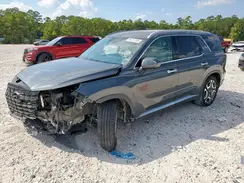 KM8R44GEXPU551149 2023 HYUNDAI PALISADE