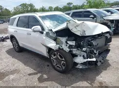 KM8R44GEXSU866963 2025 HYUNDAI PALISADE