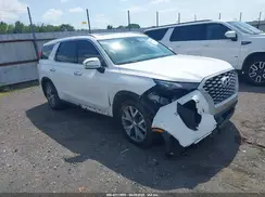 KM8R44HE1MU208515 2021 HYUNDAI PALISADE