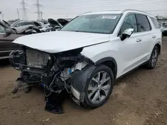 KM8R44HE3LU090725 2020 HYUNDAI PALISADE