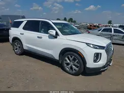 KM8R44HE5LU131131 2020 HYUNDAI PALISADE
