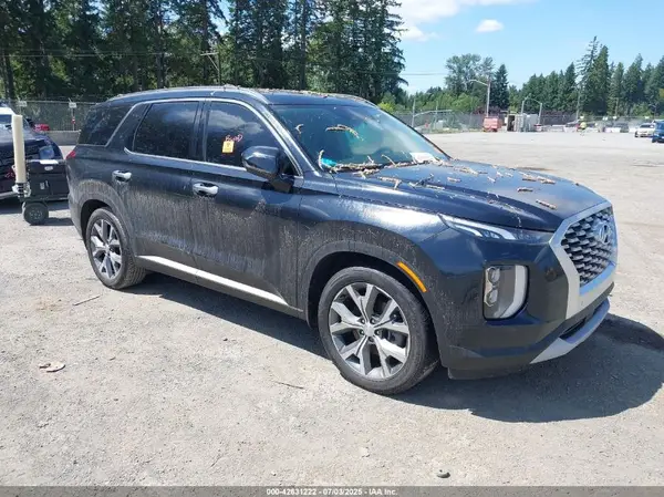 KM8R44HE6LU064099 2020 HYUNDAI PALISADE - Image 1