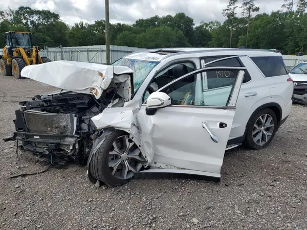 KM8R44HE8LU063343 2020 HYUNDAI PALISADE - Image 1