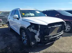 KM8R44HE9LU060581 2020 HYUNDAI PALISADE