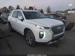 KM8R44HE9LU122013 2020 HYUNDAI PALISADE