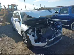 KM8R44HE9MU332435 2021 HYUNDAI PALISADE