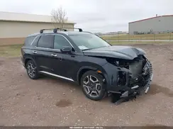 KM8R4DGE0RU765876 2024 HYUNDAI PALISADE