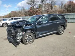 KM8R4DGE0SU829436 2025 HYUNDAI PALISADE