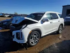 KM8R4DGE0SU891547 2025 HYUNDAI PALISADE