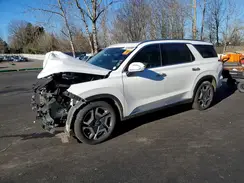 KM8R4DGE1PU492282 2023 HYUNDAI PALISADE