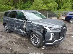 KM8R4DGE1RU695840 2024 HYUNDAI PALISADE