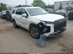 KM8R4DGE1RU781553 2024 HYUNDAI PALISADE
